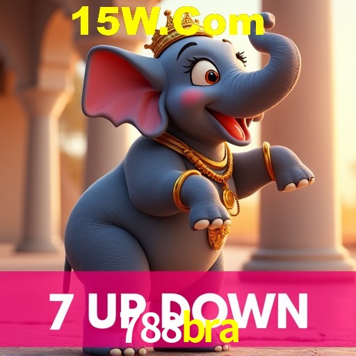 788bra Rio de Janeiro - Professional Dealers