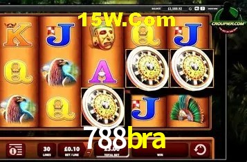 788bra Salvador - Support